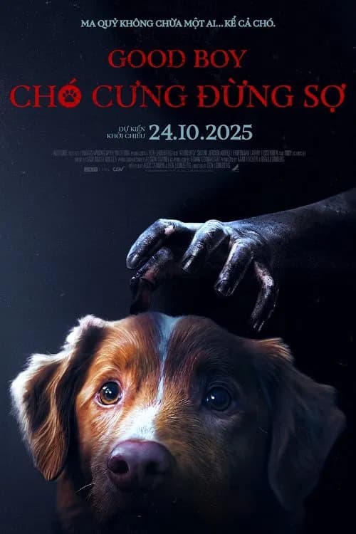 Chó Cưng Đừng Sợ - Good Boy
